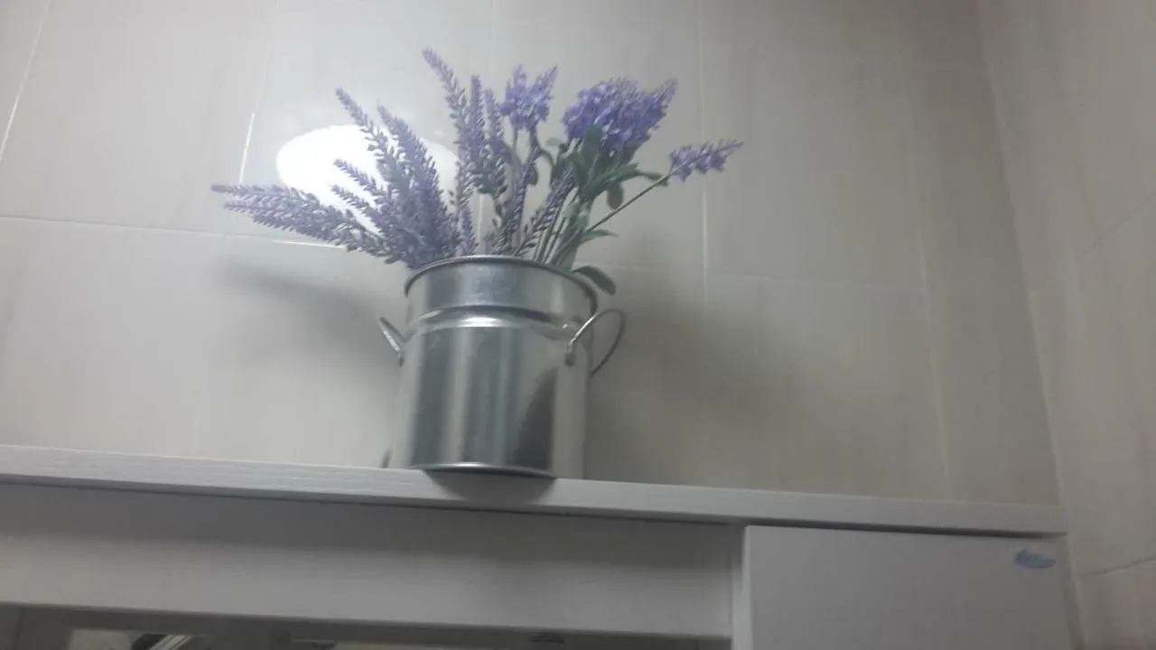Divino In Centro Holiday Home Cioffi Amalfi